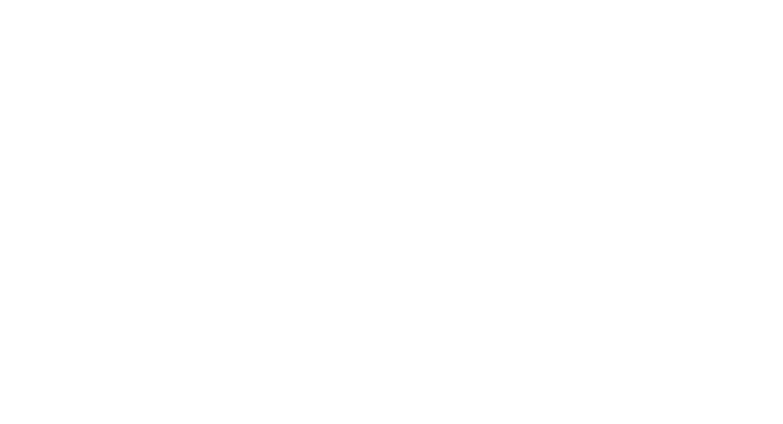 سيل SAIL
